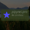 pipynei.pro